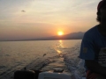 Click to see our dolphin tour